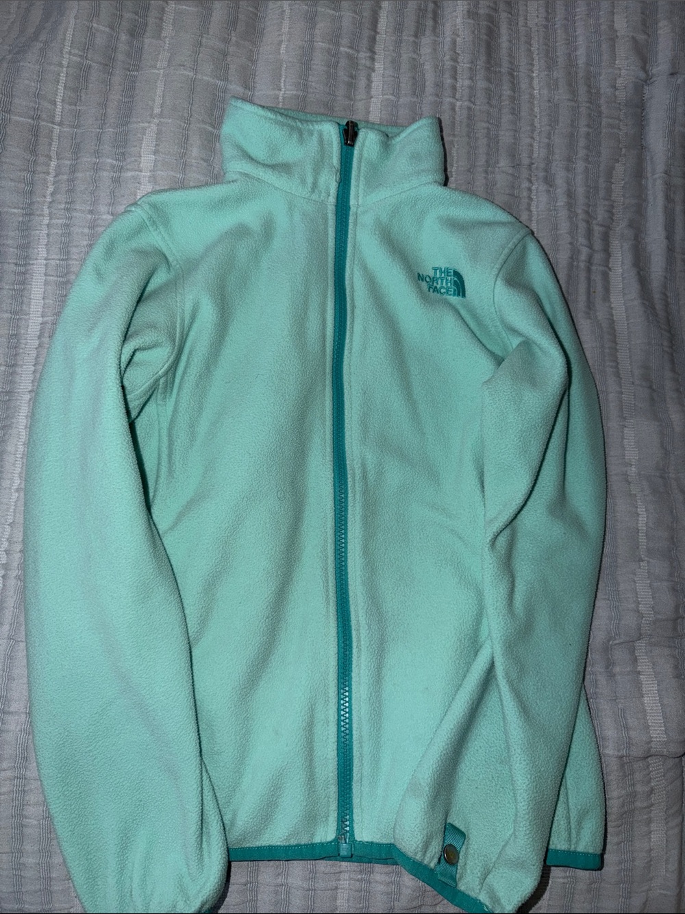 The North Face Light Teal Full-Zip Fleece Jacket